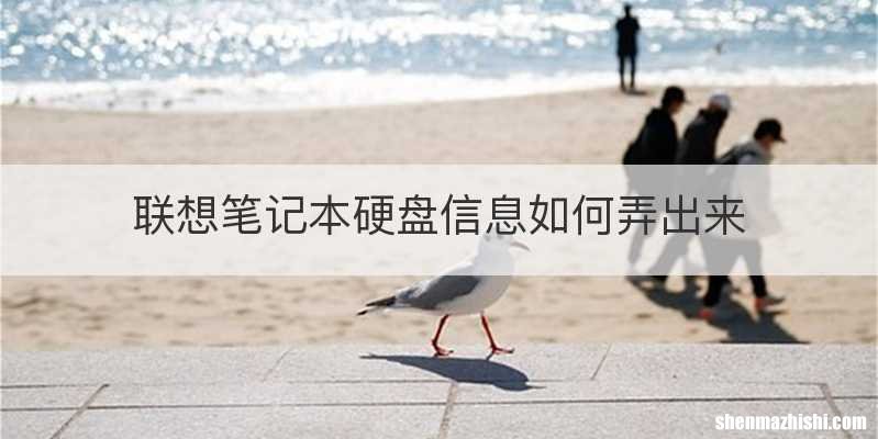 联想笔记本硬盘信息如何弄出来