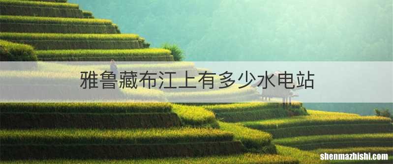 雅鲁藏布江上有多少水电站