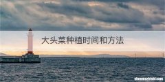 大头菜种植时间和方法