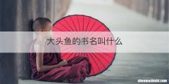 大头鱼的书名叫什么