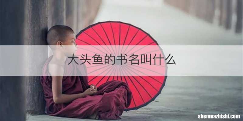 大头鱼的书名叫什么