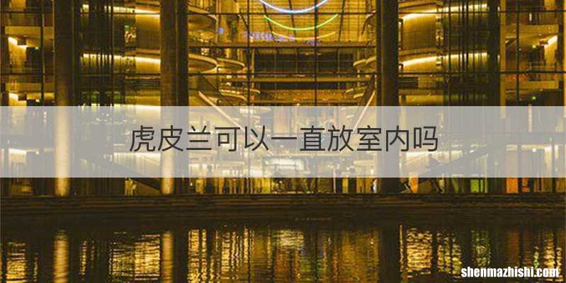 虎皮兰可以一直放室内吗