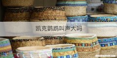 凯克鹦鹉叫声大吗