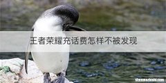 王者荣耀充话费怎样不被发现