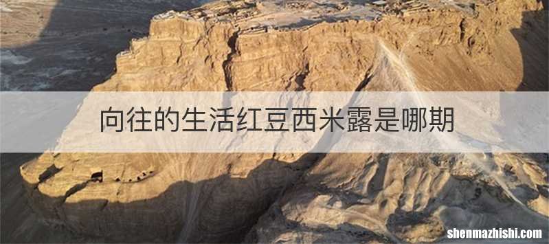 向往的生活红豆西米露是哪期