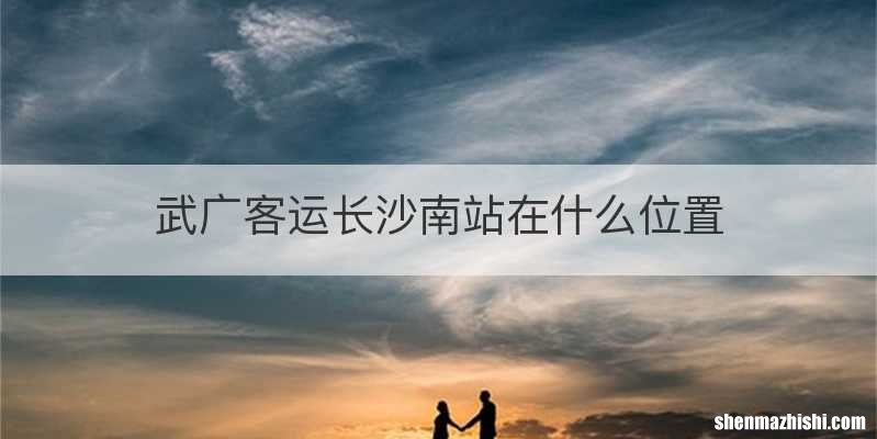 武广客运长沙南站在什么位置