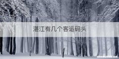湛江有几个客运码头