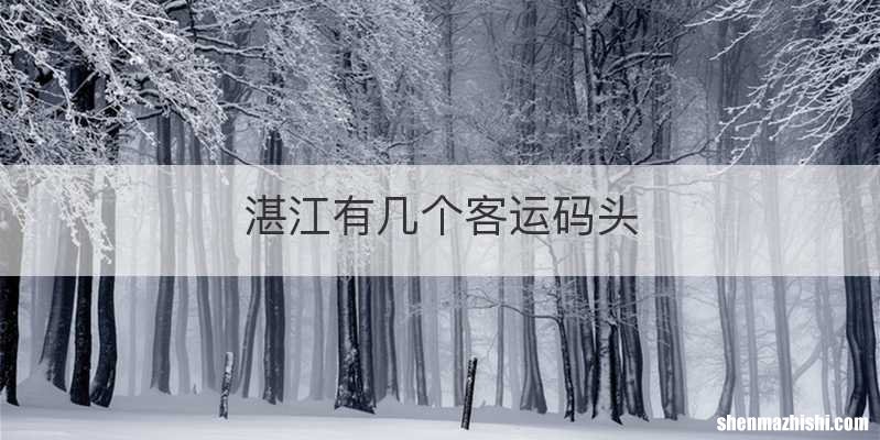 湛江有几个客运码头