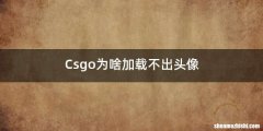 Csgo为啥加载不出头像