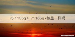 i5 1135g7 i71165g7核显一样吗