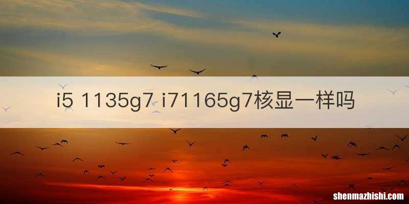 i5 1135g7 i71165g7核显一样吗