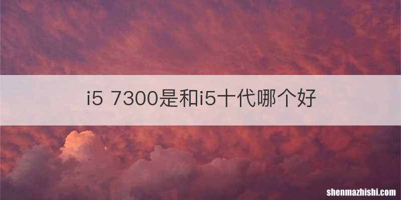 i5 7300是和i5十代哪个好