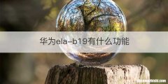华为ela-b19有什么功能