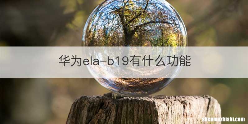 华为ela-b19有什么功能