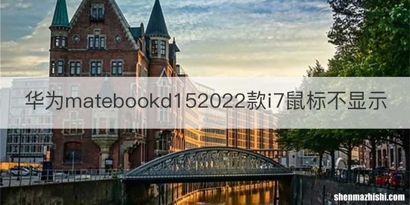 华为matebookd152022款i7鼠标不显示