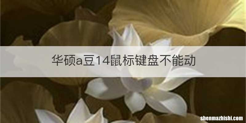 华硕a豆14鼠标键盘不能动