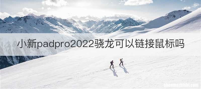 小新padpro2022骁龙可以链接鼠标吗