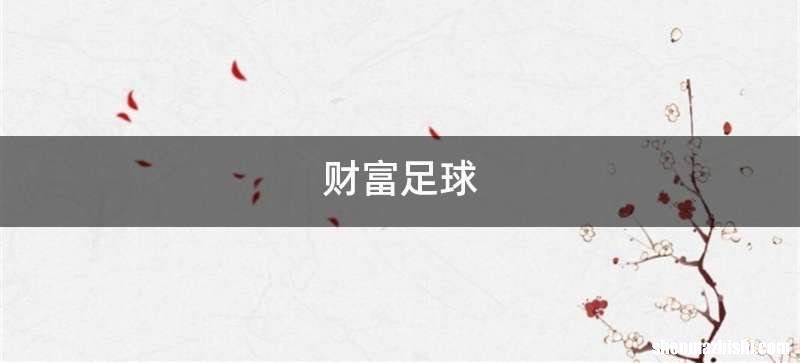 财富足球