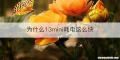 为什么13mini耗电这么快