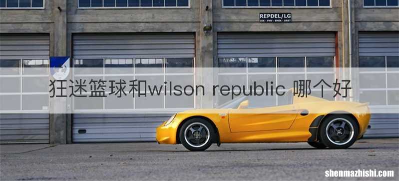 狂迷篮球和wilson republic 哪个好