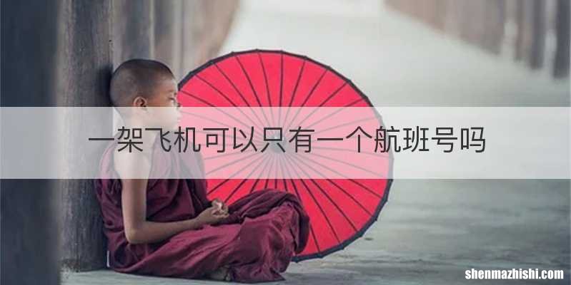一架飞机可以只有一个航班号吗