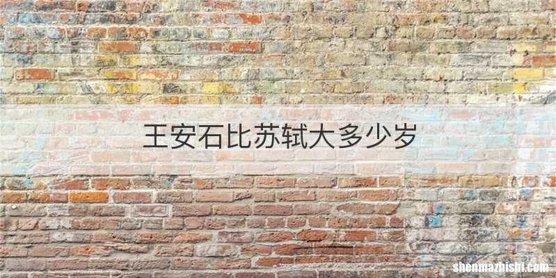 王安石比苏轼大多少岁