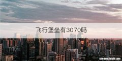 飞行堡垒有3070吗