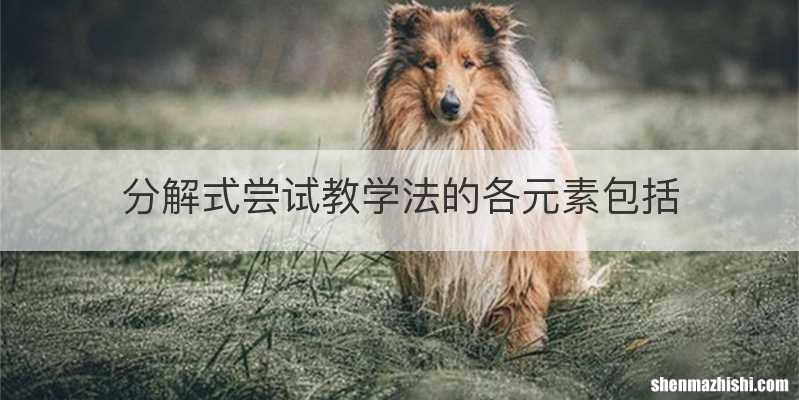 分解式尝试教学法的各元素包括