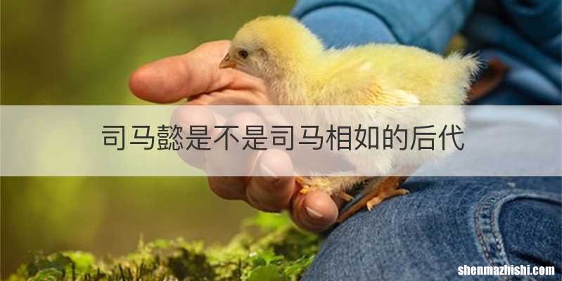 司马懿是不是司马相如的后代