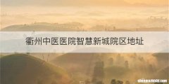 衢州中医医院智慧新城院区地址