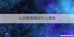 沁园春雪题目什么意思