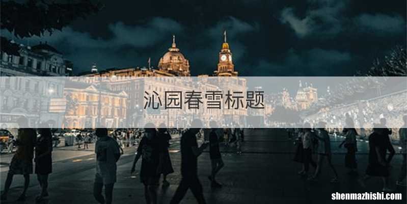 沁园春雪标题