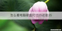 怎么看电脑硬盘尺寸25还是35