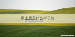 原土层是什么样子的