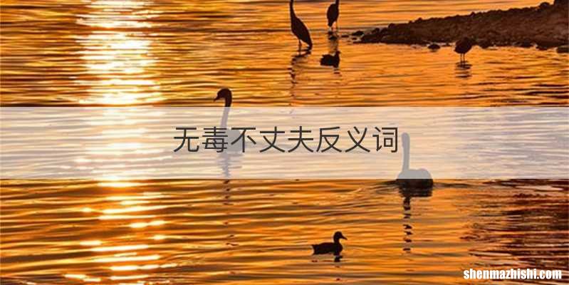 无毒不丈夫反义词