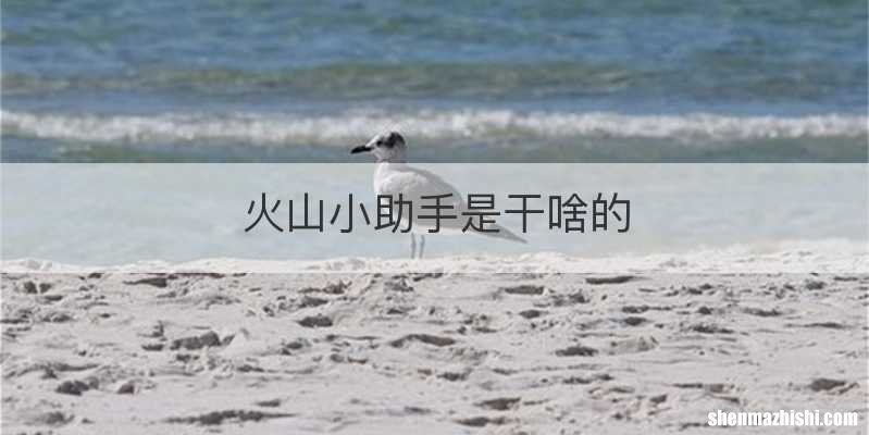 火山小助手是干啥的