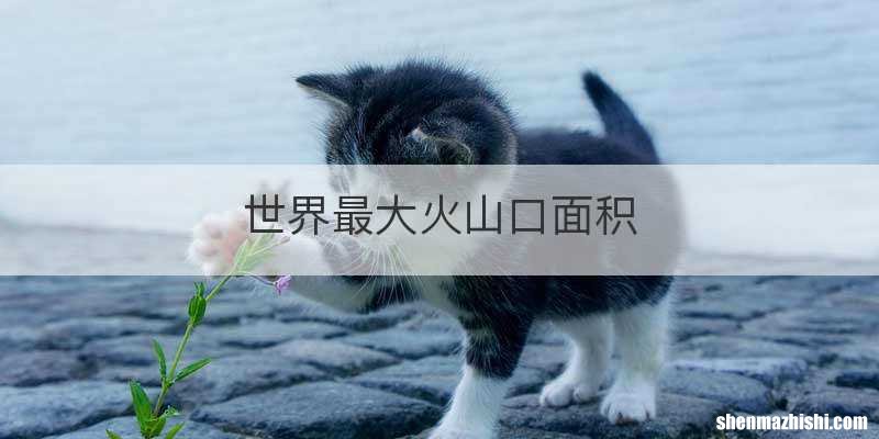 世界最大火山口面积