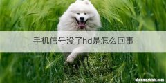 手机信号没了hd是怎么回事
