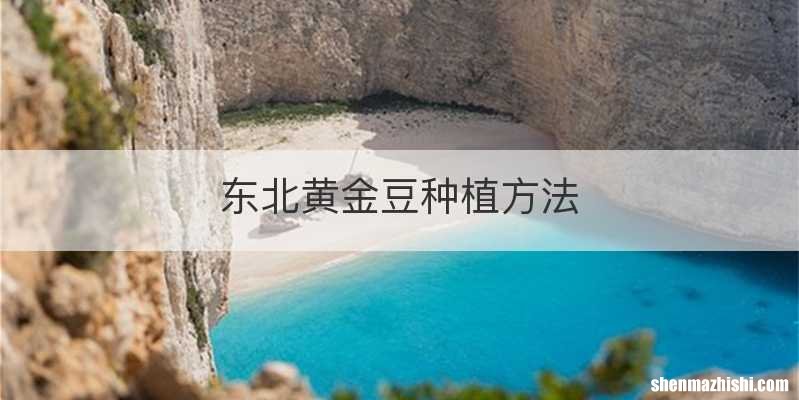 东北黄金豆种植方法