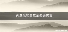 内马尔和里瓦尔多谁厉害
