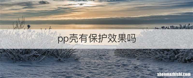 pp壳有保护效果吗