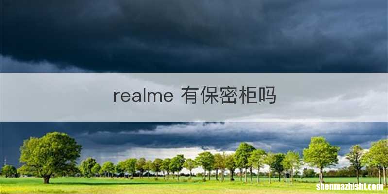 realme 有保密柜吗
