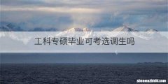 工科专硕毕业可考选调生吗