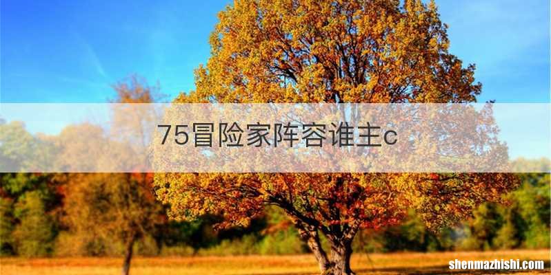 75冒险家阵容谁主c