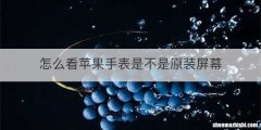 怎么看苹果手表是不是原装屏幕