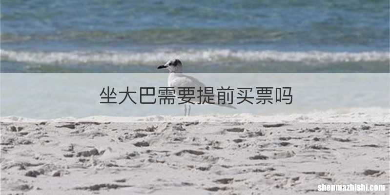 坐大巴需要提前买票吗