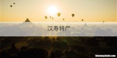 汉寿特产