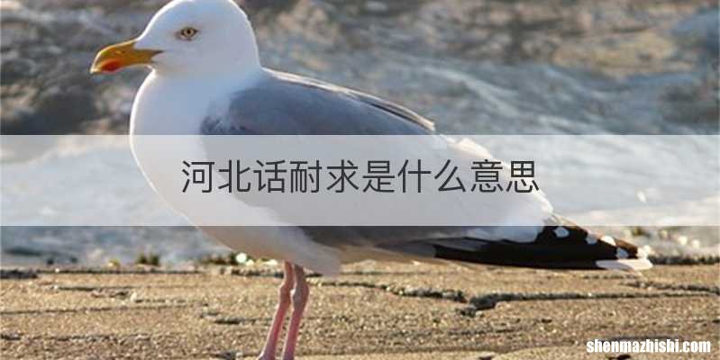 河北话耐求是什么意思