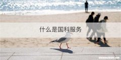 什么是国科服务