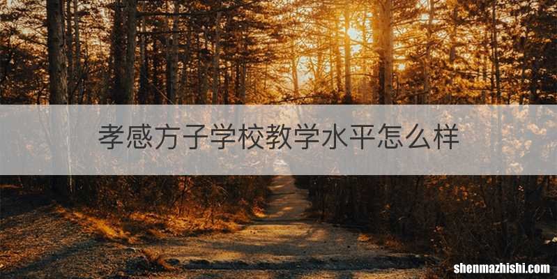 孝感方子学校教学水平怎么样